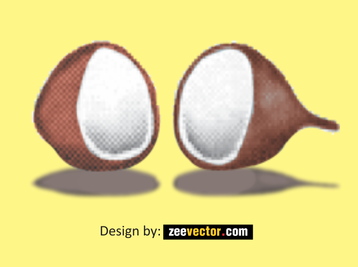 Coconut-Clipart