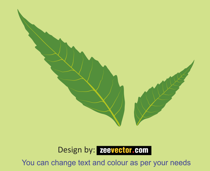Neem-Leaf-Vector
