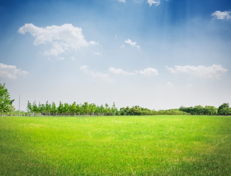 Park-grass_with-Cloud-Background