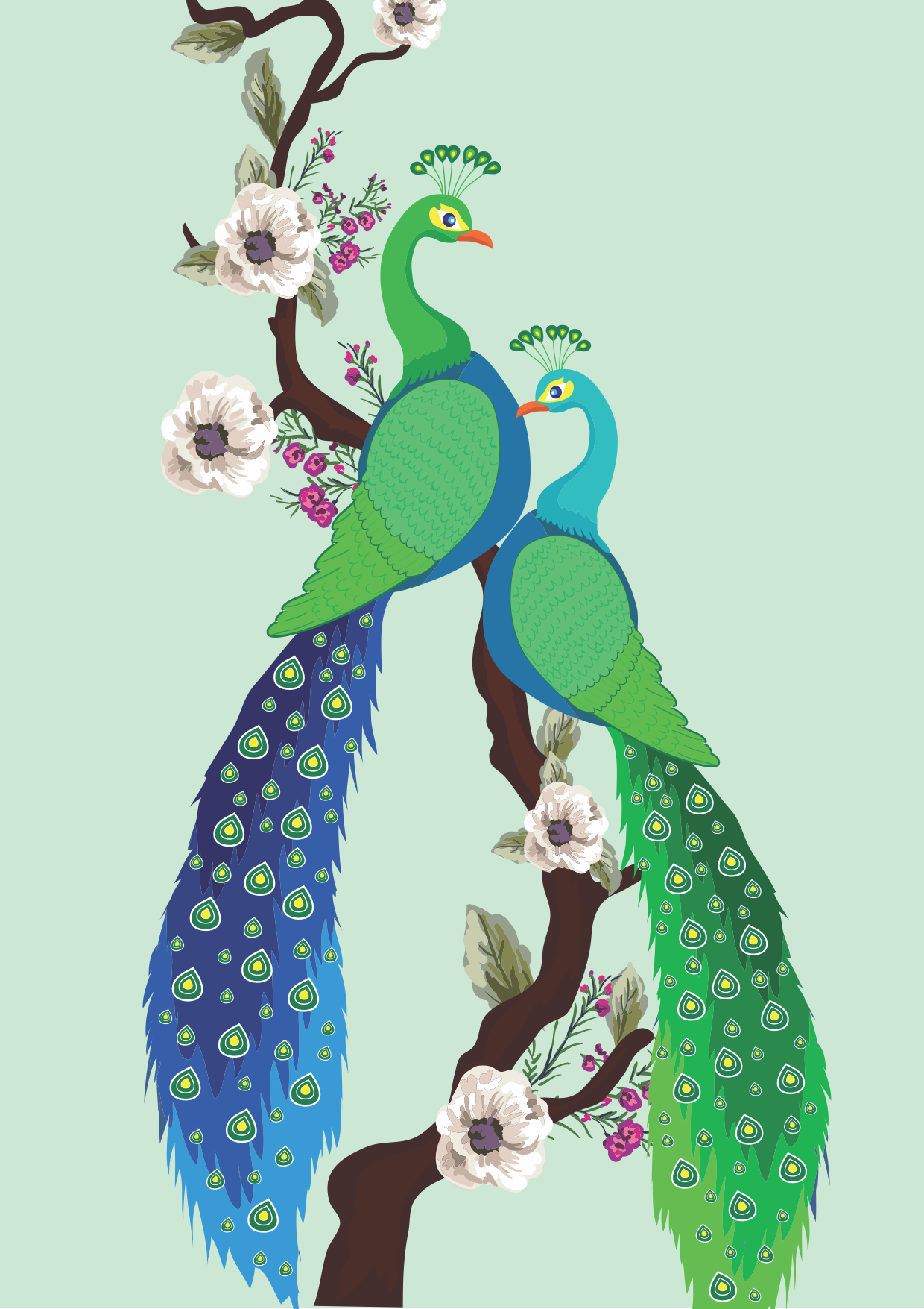 Peacock-Clipart-Free-Download