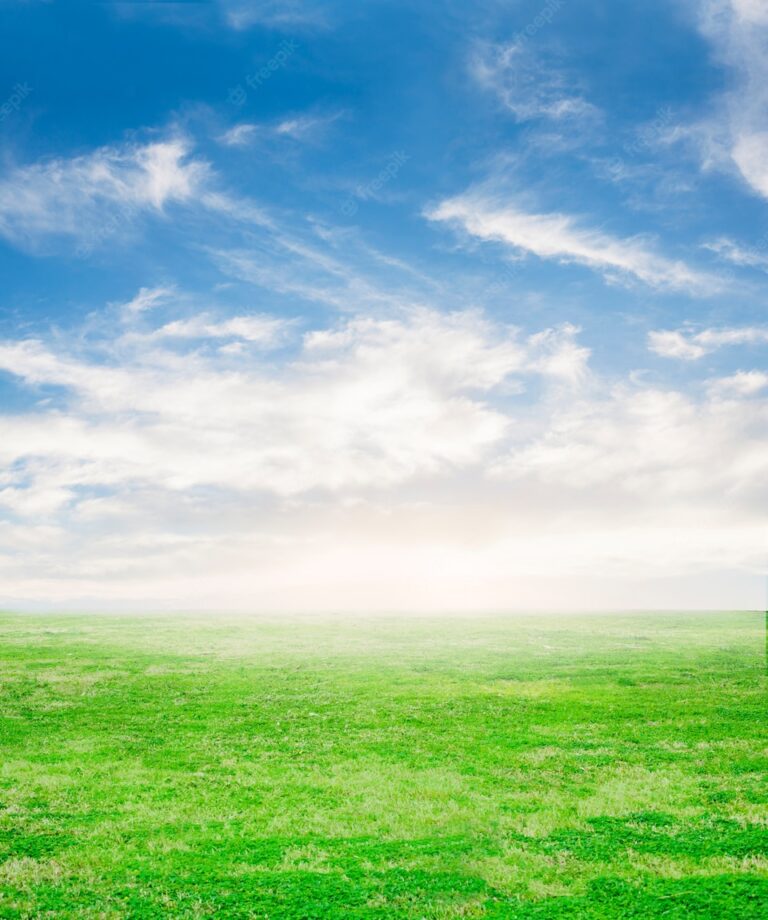 grass-with-sky-background